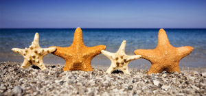 Vente par correspondance de voyages Vente par correspondance de voyages